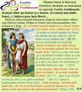 06. Familia Tradiţională 6 - David şi Ionatan