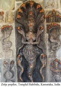 7.1.6.6 Zeiţa şerpilor , Templul Halebidu, Karnataka, India