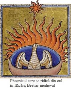 7.1.7.10 Phoenixul care se ridică din oul în flăcări; Bestiar medieval